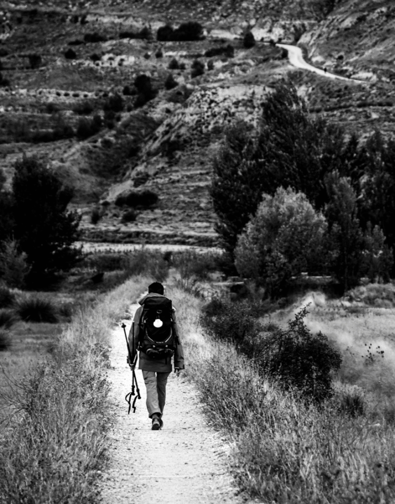 Peregrina en el Camino de Santiago